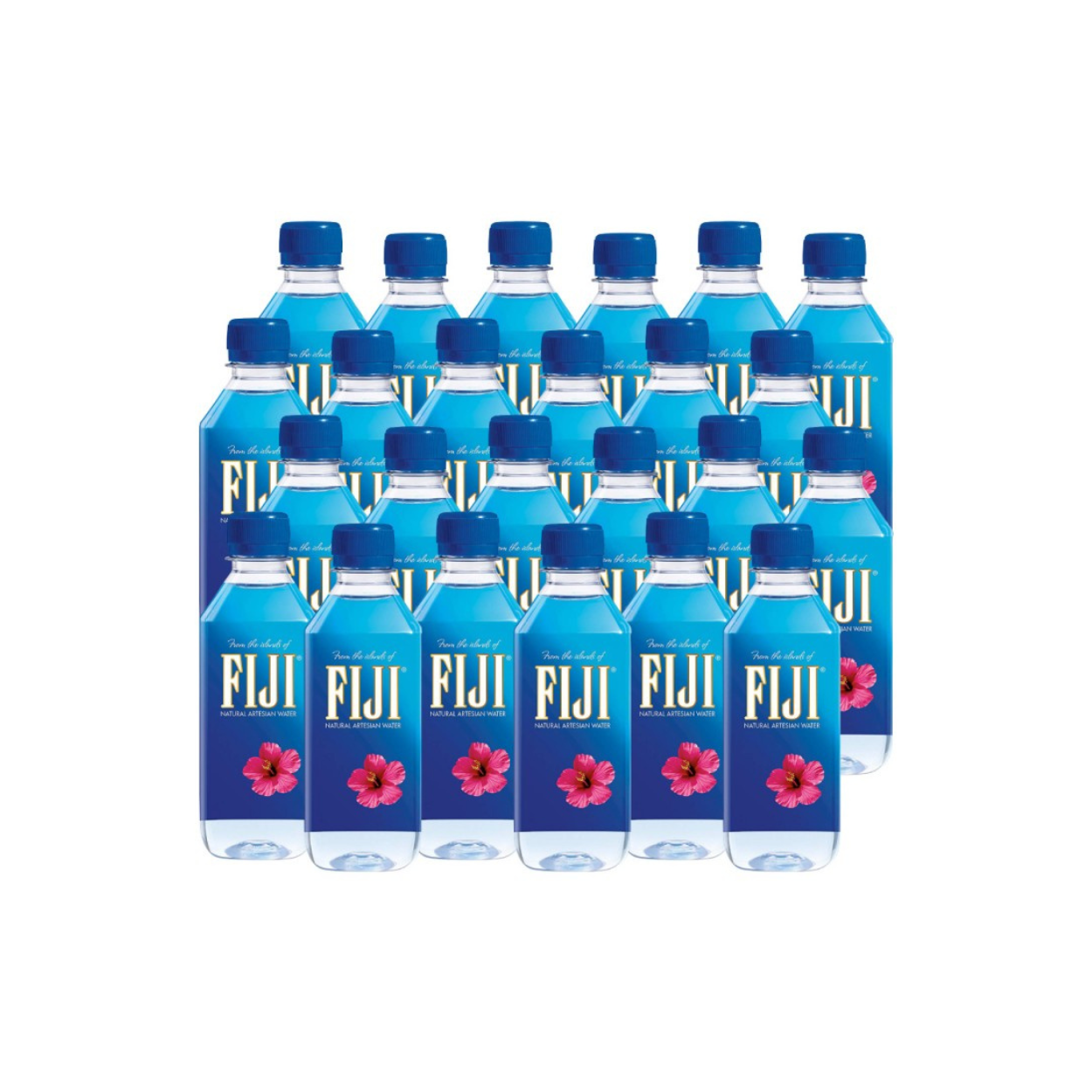 Fiji Wasser (1-24x500ml)